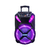 Jagger - buy online