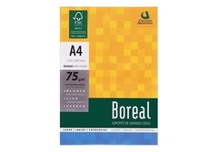 Resma Boreal A4 75 Gr