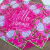 Canga Toalha Personalizada estampa Pitaya