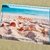 Canga de Praia Personalizada | Estampa Conchas