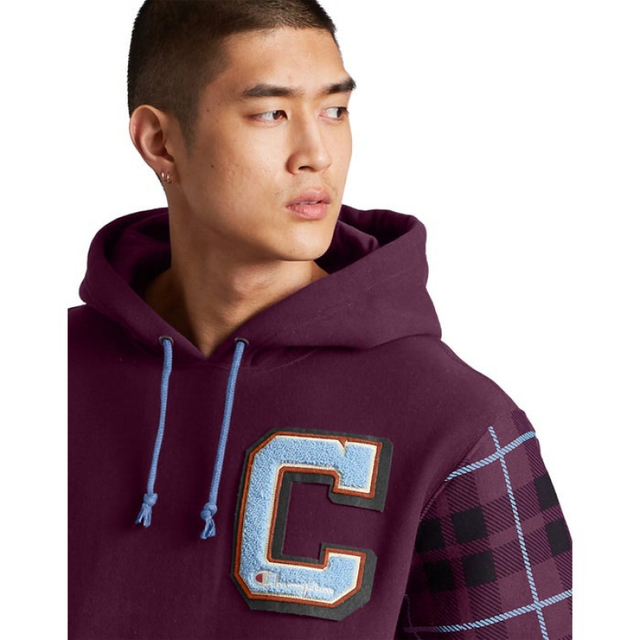 champion reverse weave plaid moletom com capuz