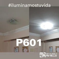 P601 - Único Plafón Para 2 Luces En Vidrio Curvo!! - comprar online