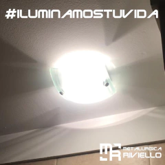 P603 - Plafones En Vidrio Curvo Para Lampara Mini Distintos A Todos