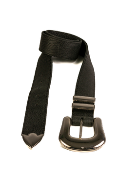 Cinto Pase 40 - comprar online