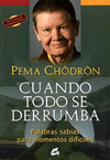 Cuando todo se derrumba