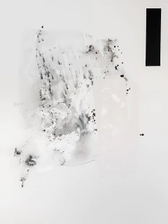 5020