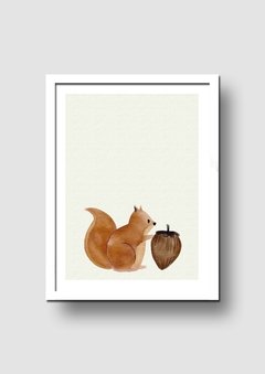 Cuadro Acuarela Ardilla - Memorabilia