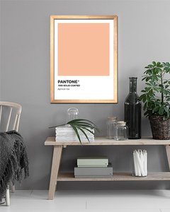 Cuadro Pantone Apricot Ice