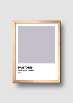 Cuadro Pantone Artic - comprar online