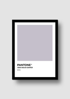 Cuadro Pantone Artic en internet