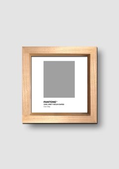 Cuadro Pantone Cool Grey - tienda online