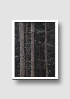 Cuadro Fotografía Bosque Ramas - Memorabilia