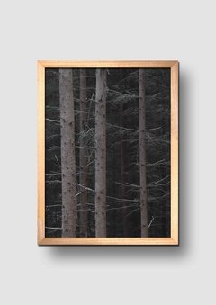 Cuadro Fotografía Bosque Ramas - comprar online