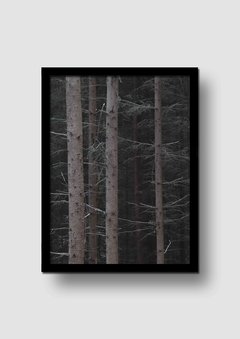 Cuadro Fotografía Bosque Ramas en internet