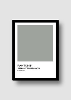 Cuadro Pantone Cool Grey en internet