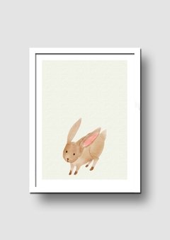 Cuadro Acuarela Conejo - Memorabilia