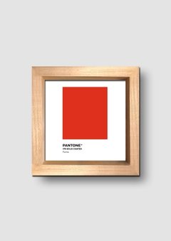 Cuadro Pantone Flame - tienda online