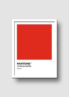 Cuadro Pantone Flame - Memorabilia