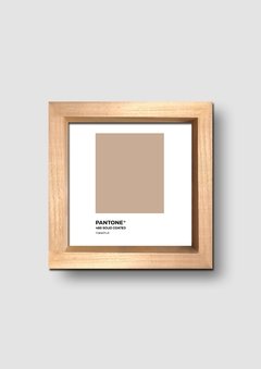 Cuadro Pantone Hazelnut - tienda online