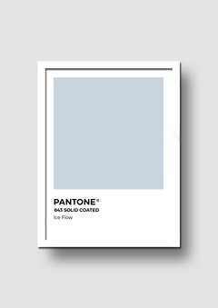 Cuadro Pantone Ice Flow - Memorabilia