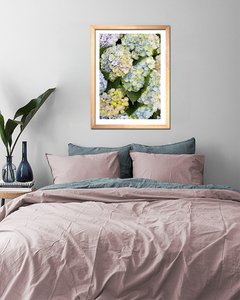 Cuadro Fotografía Flor Hortensia 1