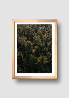 Cuadro Fotografía Bosque 2 - comprar online