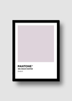 Cuadro Pantone Ordich en internet