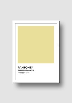 Cuadro Pantone Pineapple Slice - Memorabilia