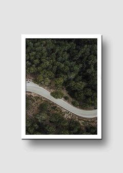 Cuadro Fotografía Ruta en el Bosque 1 - Memorabilia