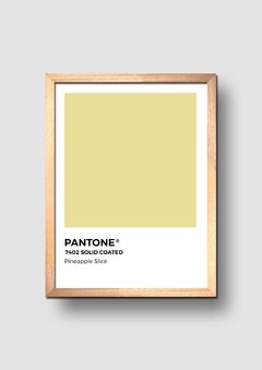 Cuadro Pantone Pineapple Slice - comprar online