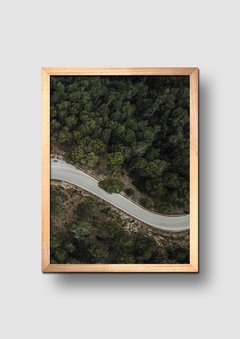 Cuadro Fotografía Ruta en el Bosque 1 - comprar online