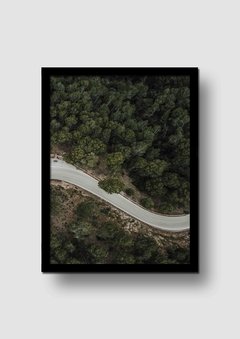 Cuadro Fotografía Ruta en el Bosque 1 en internet