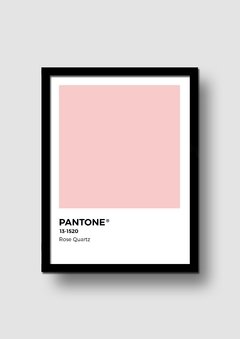 Cuadro Pantone Rose Quartz Color del año 2016 en internet