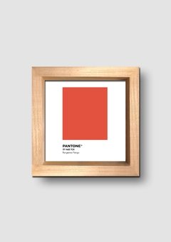 Cuadro Pantone Tangerine Tango Color del año 2012 - tienda online