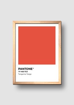 Cuadro Pantone Tangerine Tango Color del año 2012 - comprar online