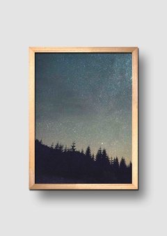 Cuadro Fotografía Bosque de Noche 2 - comprar online