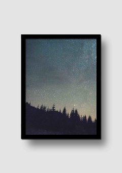 Cuadro Fotografía Bosque de Noche 2 en internet