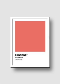 Cuadro Pantone Living Coral Color de año 2019 - Memorabilia