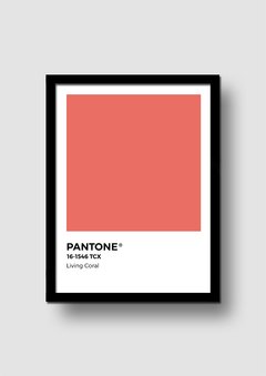 Cuadro Pantone Living Coral Color de año 2019 en internet