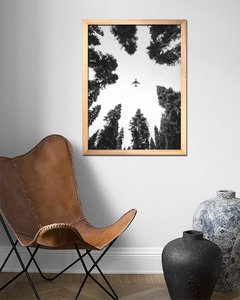 Cuadro Avión en el Bosque - comprar online