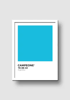 Cuadro Campeone Argentina 2022 - Memorabilia
