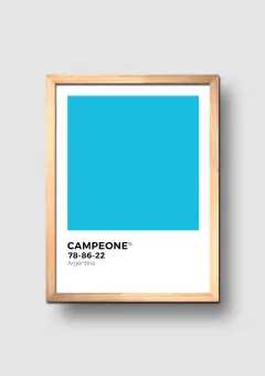 Cuadro Campeone Argentina 2022 - comprar online