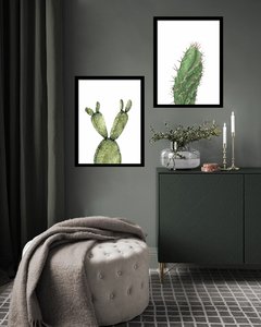 Duo Cactus