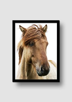 Cuadro Fotografía Caballo en internet