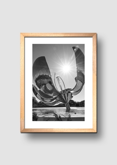 Cuadro Fotografía Buenos Aires Floralis - comprar online
