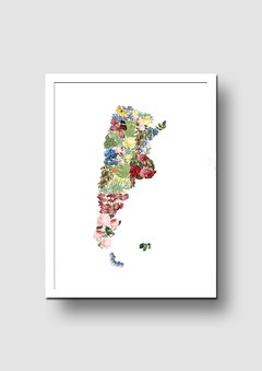 Cuadro Mapa Argentina Flores - Memorabilia