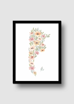 Cuadro Mapa Argentina Flores Nude Acuarela en internet