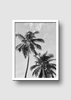 Cuadro Palmeras Blanco y Negro - Memorabilia