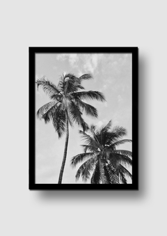 Cuadro Palmeras Blanco y Negro en internet