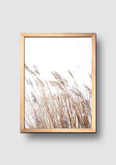 Cuadro Pampa Grass 2 - comprar online